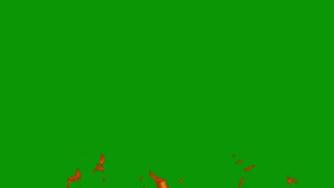 Green screen white background small red dot bunch flowers fire man ' s face Stock Footage 314064174