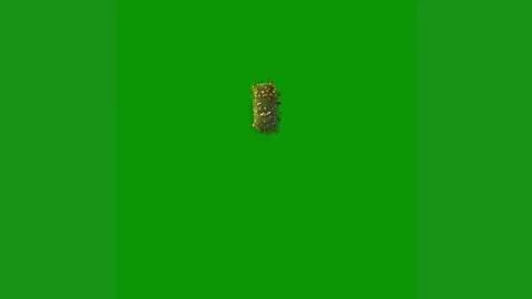 Green screen white background small animal ' s back spider lizard bird insect Stock Footage 314064775