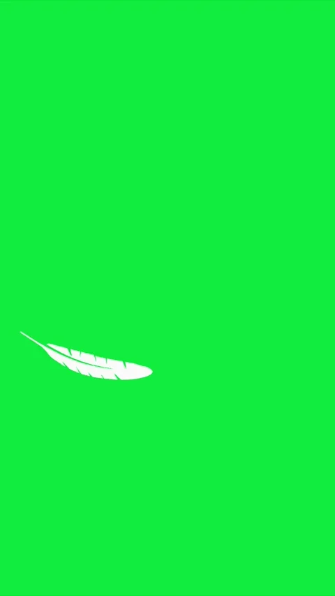 Green screen white feather clean chroma key space, floating plume detail, and si Stock Footage 340575706