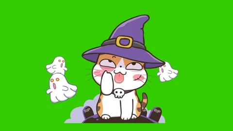 Green Screen Witch Cat Animation for Halloween Edits Stock Footage 282418173