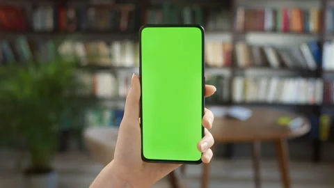 Green Screen Without Touching. Point of View Woman Holding Chroma Key Green Stock Footage 171160463