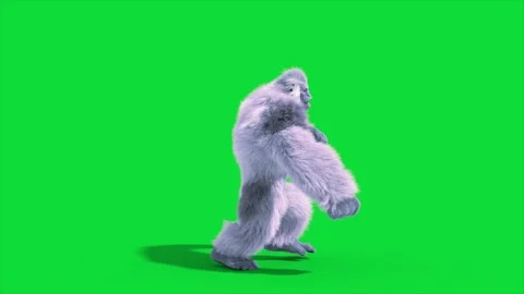 Green Screen Yeti, Gorilla, Snow Monster Attack Roar Side 3D Rendering Anima Stock Footage 315690755