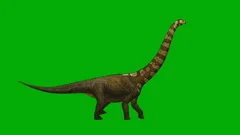 Oviraptor Dinosaurs Run Cycle Green Scre, Stock Video