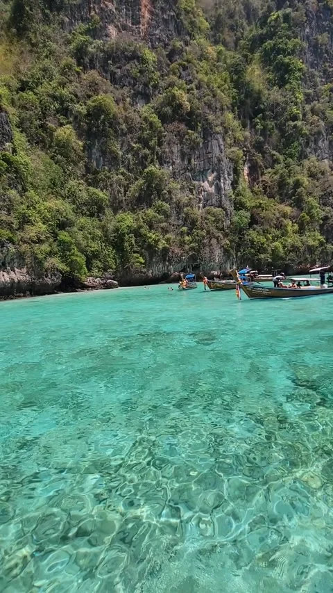 The green sea Stock Footage 244988658