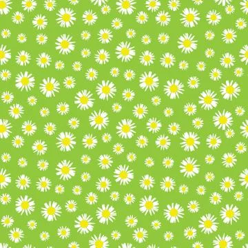 Green seamless pattern with Chamomile flowers Stock Illustration