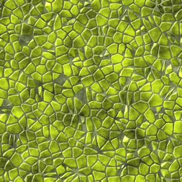 Green seamless paving texture イラスト素材