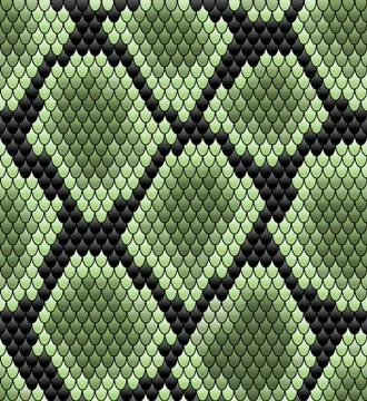 Green seamless snake skin pattern 스톡 일러스트
