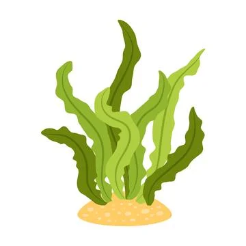 Green seaweed on a sandy patch. Underwater plant illustration. イラスト素材