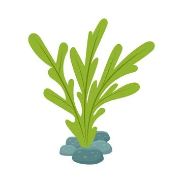 Green seaweed on a sandy patch. Underwater plant illustration. Stock Illustration
