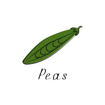 Green Seed Pea Pod Logo Illustration. Vector flat sign Stock Illustration
