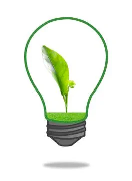 Green seedling with grass in light bulb, included plant clipping path Illustration