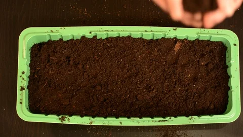 Green seedlings with roots on the background of the table and peat pots with soi Stock Footage 102927291