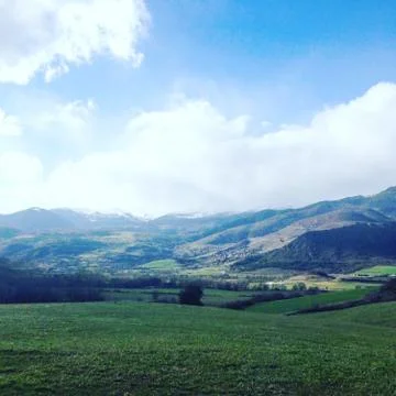 Green seeing Stock Photos