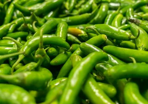 Green serrano pepper Stock Photos