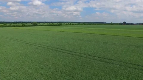 Green Shades Of Fields . Aerial View 03 Stock Footage 62058073