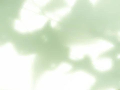 Green Shadow Abstract Background Overlay Leaf Natural blur Cement Wall 写真素材