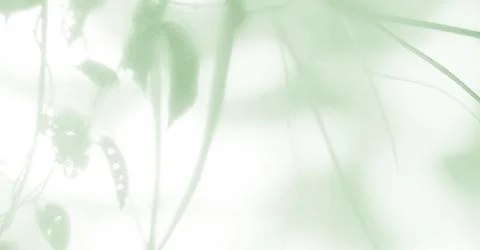 Green Shadow Abstract Background Overlay Leaf Natural blur Cement Wall Stock Photos
