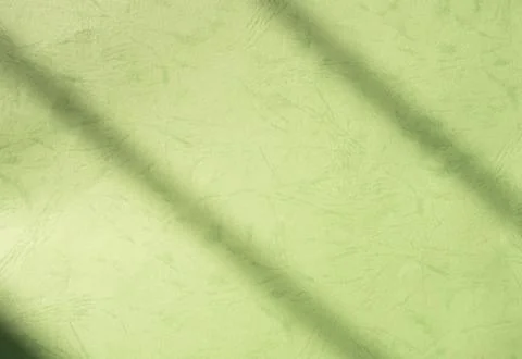 Green Shadow Abstract Background Overlay Leaf Natural blur Cement Wall 写真素材