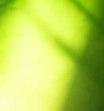 Green Shadow Abstract Background Overlay Leaf Natural blur Cement Wall 写真素材