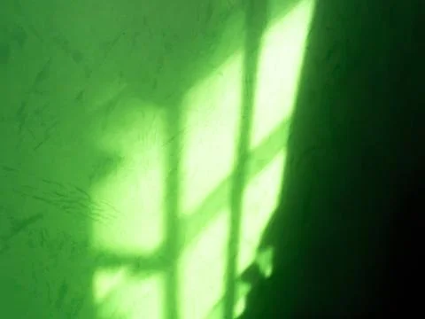 Green Shadow Abstract Background Overlay Blur Leaf Natural blur Cement Фото