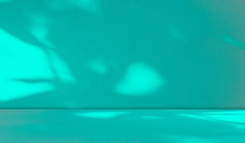 Green Shadow Backdrop Background Product 3d Bg Light Leaf Wall Podium 스톡 사진