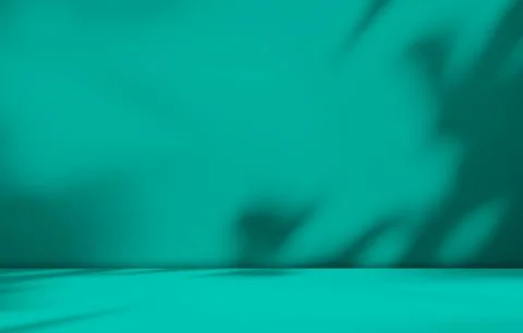 Green Shadow Backdrop Background Product Light Leaf Wall Podium Abstract Stock Photos