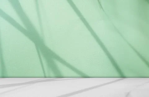 Green Shadow Background Studio Room Photo Empty Gradient Leaf Floor Wall Fotos Stock