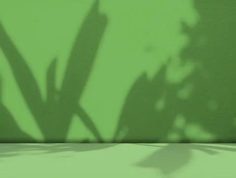 Green Shadow Background Studio Room Photo Empty Gradient Leaf Floor Wall 写真素材