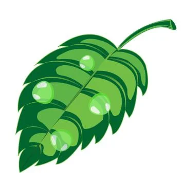 Green sheet Stock Illustration