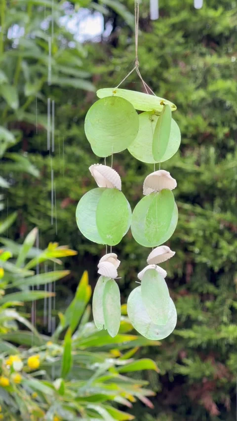 Green Shell Wind Chime in Rain Close Up - 4K Vidéo 317723303