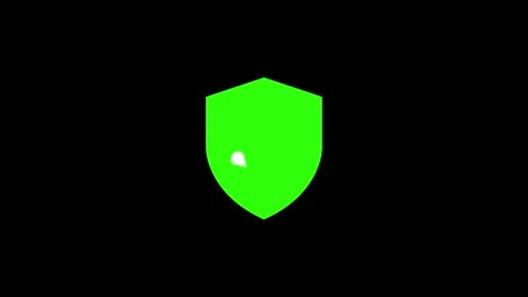 Green shield with check mark animation for security and safety approval mot.. Stock Footage 329145135
