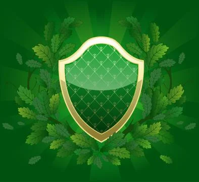 Green Shield Illustrazione stock