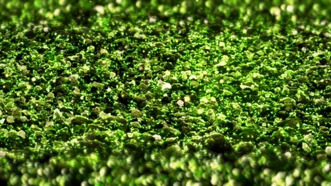 Green Shiny glitter seamless loop abstract texture close up macro background Stock Footage 106953619