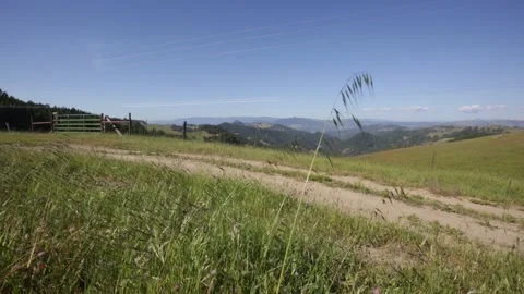 Green Shrubbery Blowing in the Wind on a Rural MOUNTAINSIDE, (HD 24p) Stock Footage 272189488