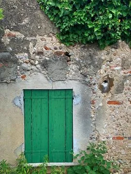 Green shutter Stock Photos