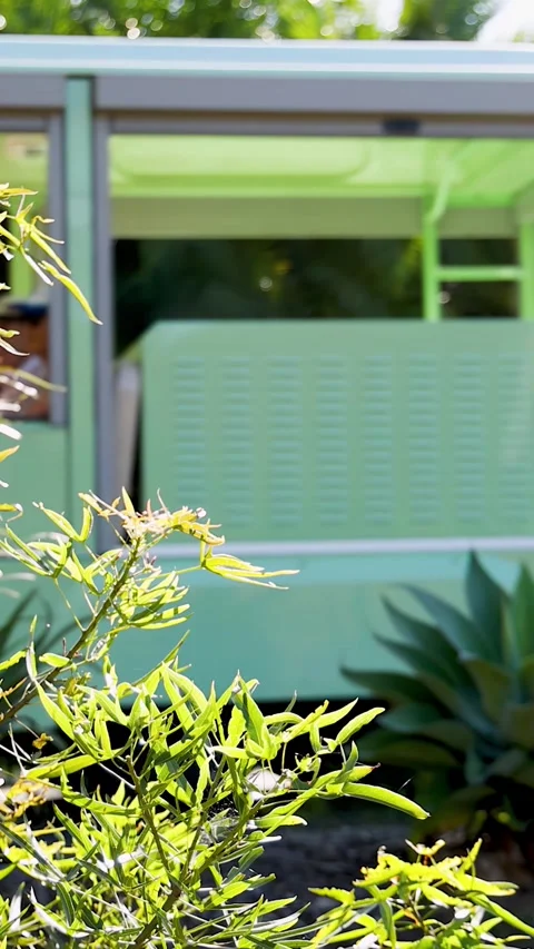 Green Shuttle Bus Transporting Tourists Through Lush Tropical Park Environment Stock Footage 334161417