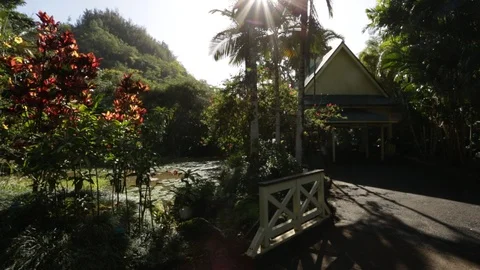 The green sightseeing Stock Footage 105443062