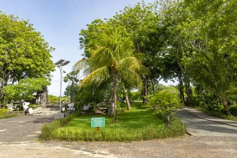 Green sign is on the ground in front of a tree Stock-Fotos