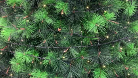 Green simpe Christmas tree with light, xmas concept, Christmas concept Vídeo Stock 165157161