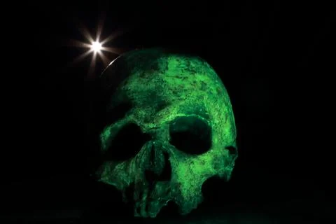 Green skull with star Stock Photos
