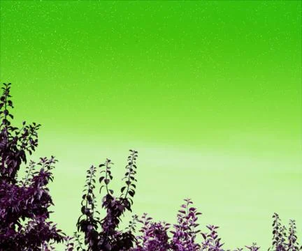 Green sky background 스톡 일러스트