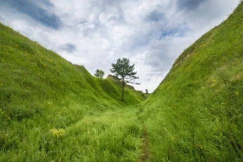 Green Slopes Landscape Фото