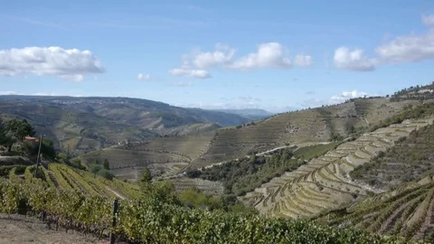 Green slopes of mountains. Stock Footage 80248535