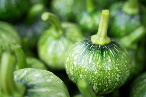 Green small pumpkin fruit superimposed multiple balls light blurred backgroun Stock Photos