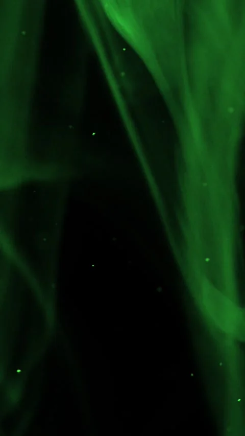 Green Smoke and Particles 65 Stock Footage 334928723