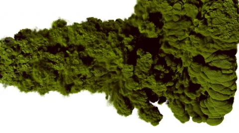 Green smoke, steam on a white background. Stock Footage 65303687