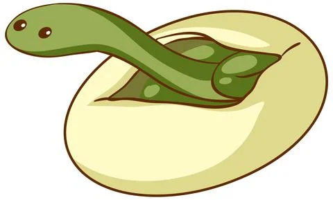Green snake hatching from an egg イラスト素材
