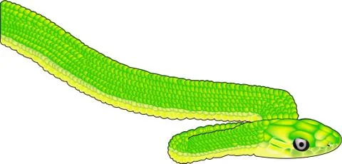 Green snake Stockillustratie