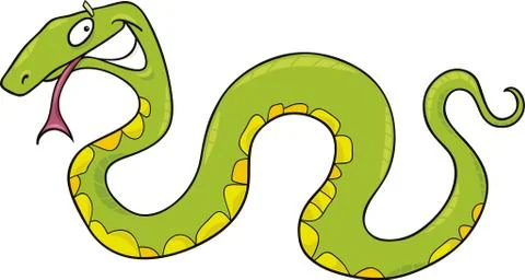 Green snake Illustration