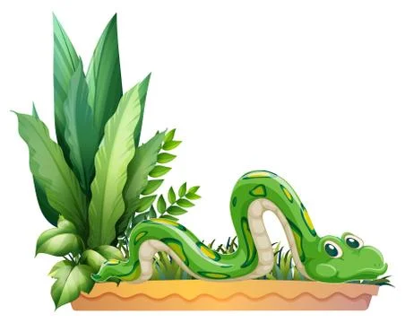 A green snake 스톡 일러스트